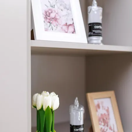 Spodek 1-2-3 Pokojowy *