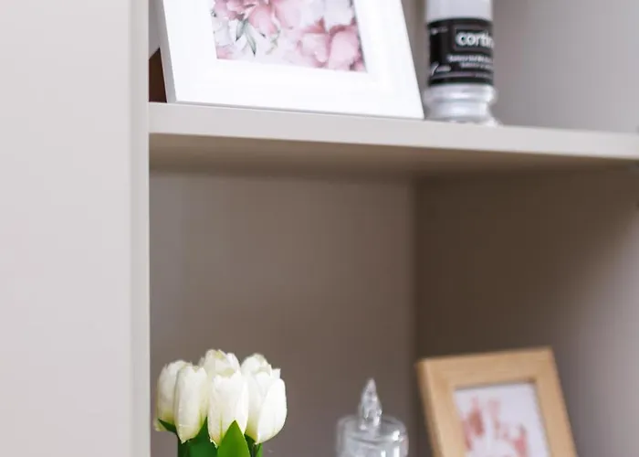 Spodek 1-2-3 Pokojowy *