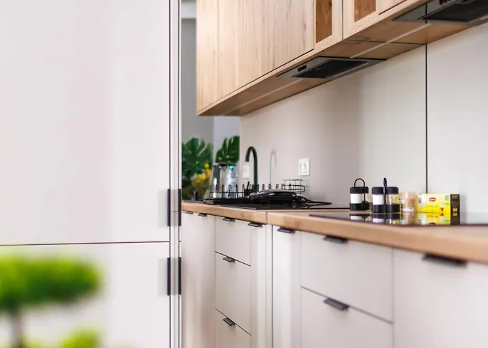 Spodek 1-2-3 Pokojowy